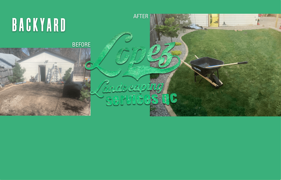 backyard project